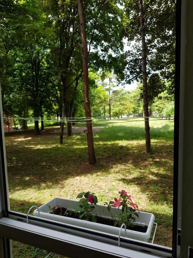 Apartament Apartman Park, Tc Stadion Vozdovac Belgrad Zewnętrze zdjęcie